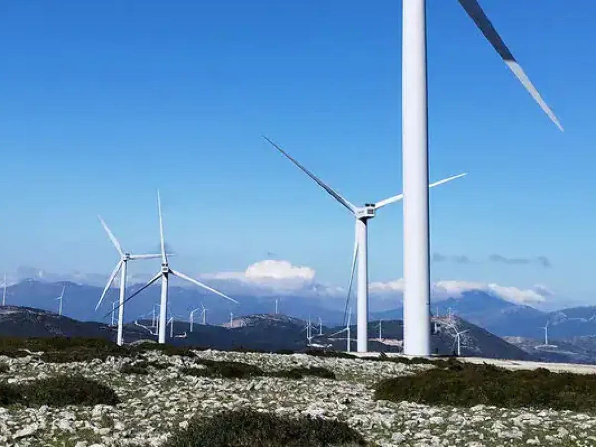 Στηρίζουμε τον αγώνα ενάντια στις ΑΠΕ στον Πάρνωνα