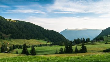 Γιατί ο Παναθηναϊκός επέλεξε το πράσινο χρώμα;