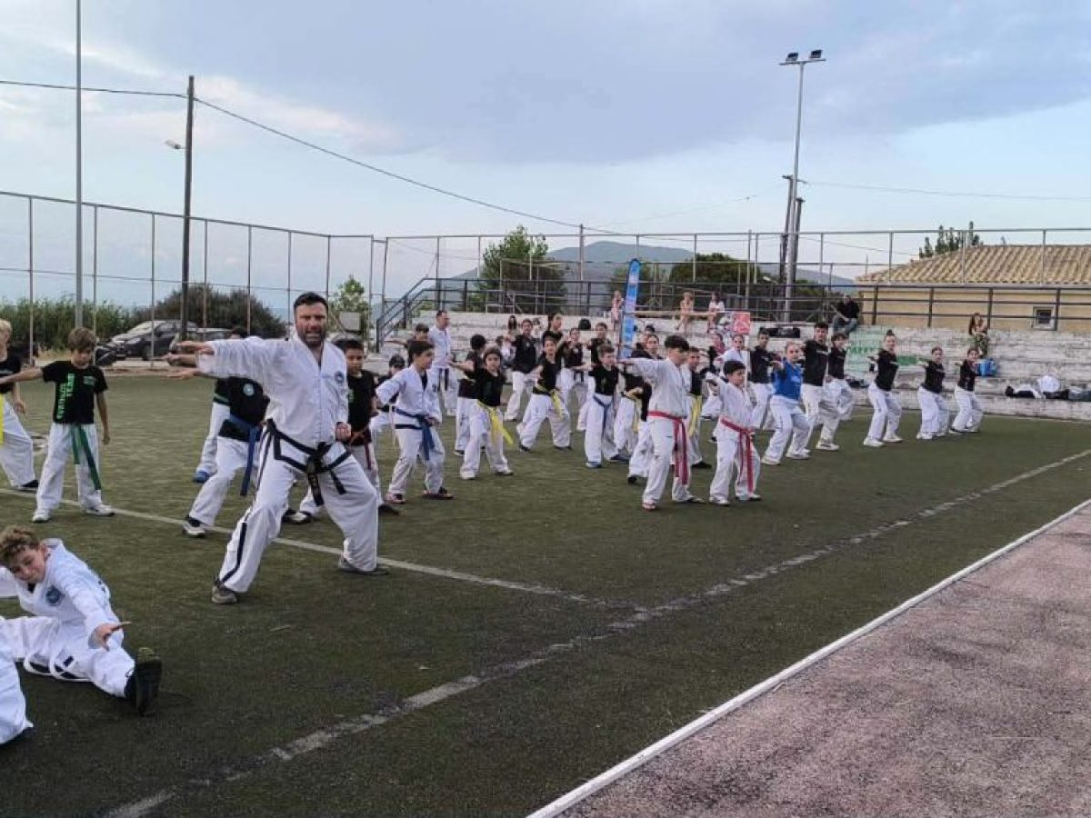 Ολοκληρωθηκε με μεγάλη επιτυχία το 6ο Taekwondo & Kickboxing και το 1ο Fitness -Kidsfitness Summer Camp στα Λευκάδα την 30/06/2026. – lefkadasportnews.gr