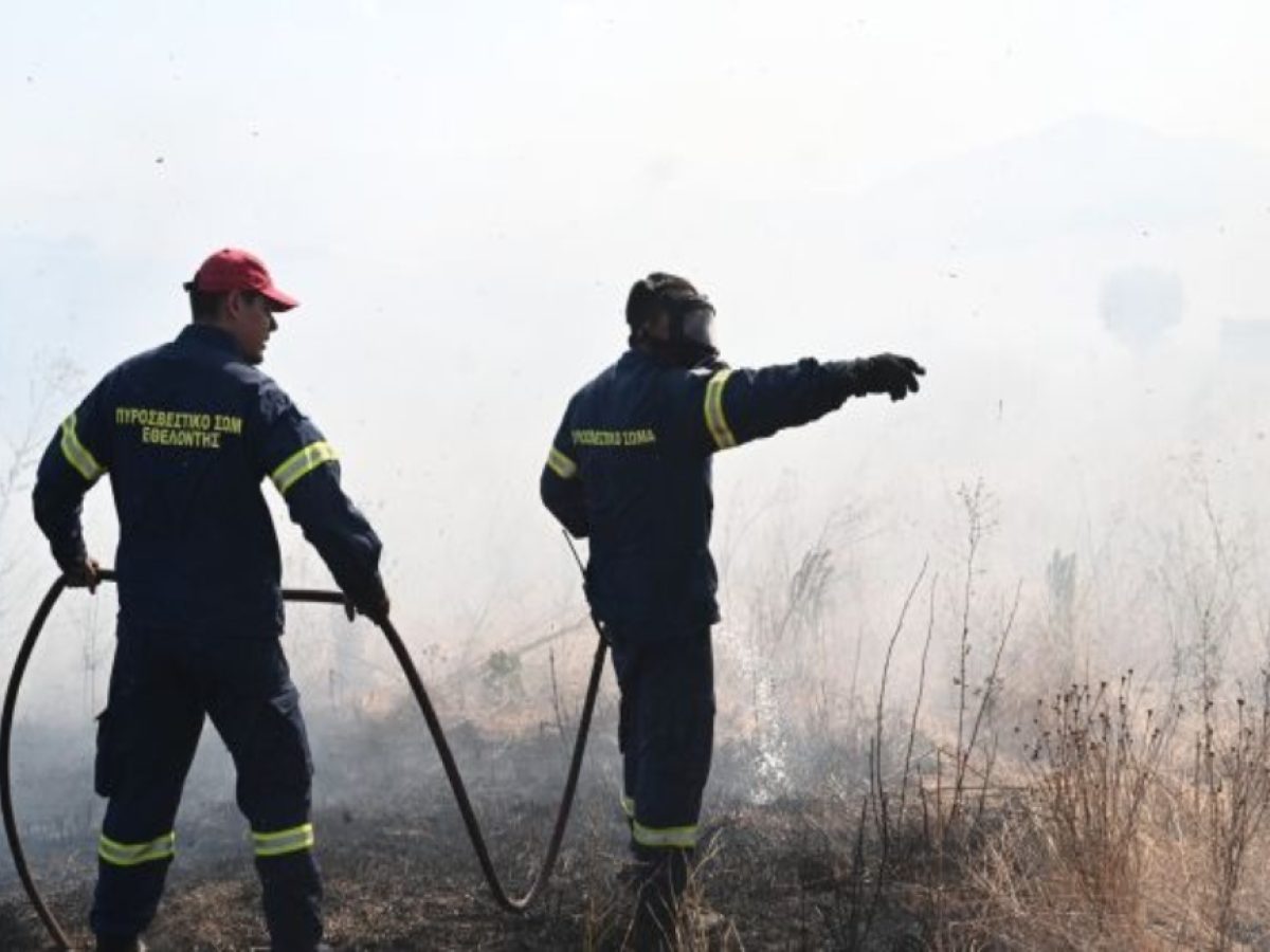 Θεσσαλονίκη: Χωρίς ενεργό μέτωπο η πυρκαγιά στην Νέα Κερασιά – AllAboutARIS.gr